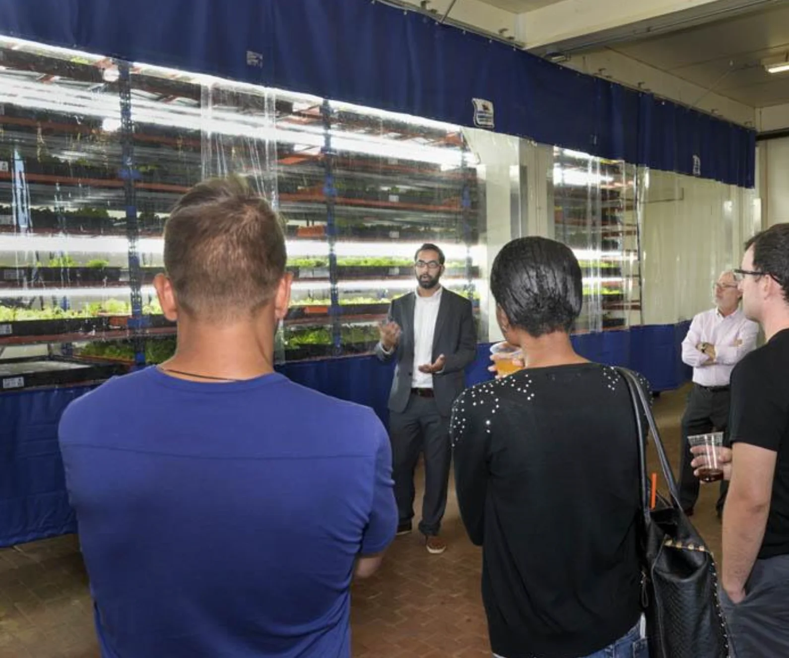 Visitors touring a large indoor growing installation